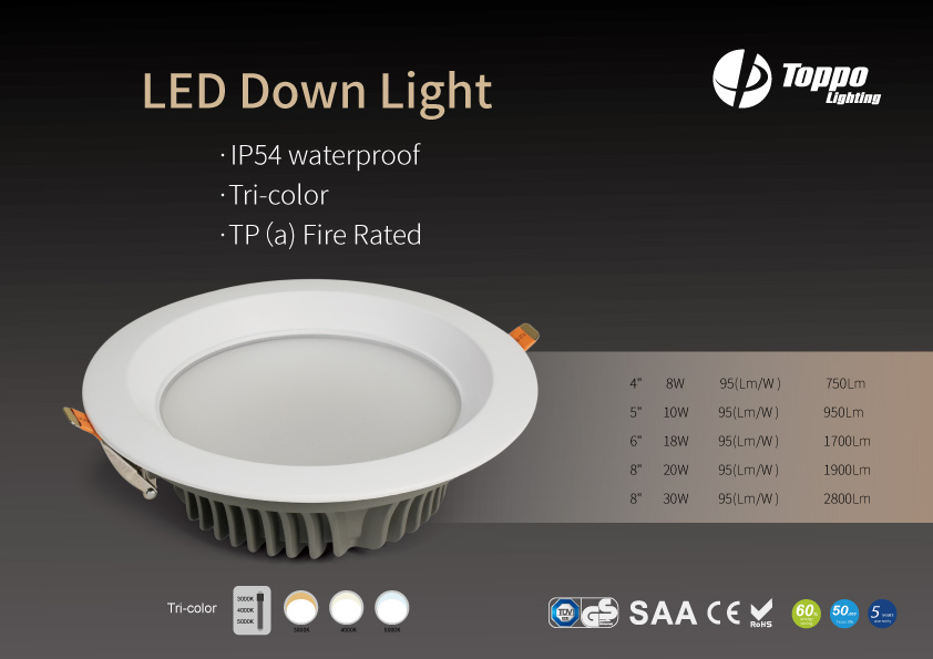 8w 10w 18w 20w 30w TP (a) Feuer führte hinunter helles Licht 8w 10w 18w 20w 30w TP(a) Fire Led Down Light Light